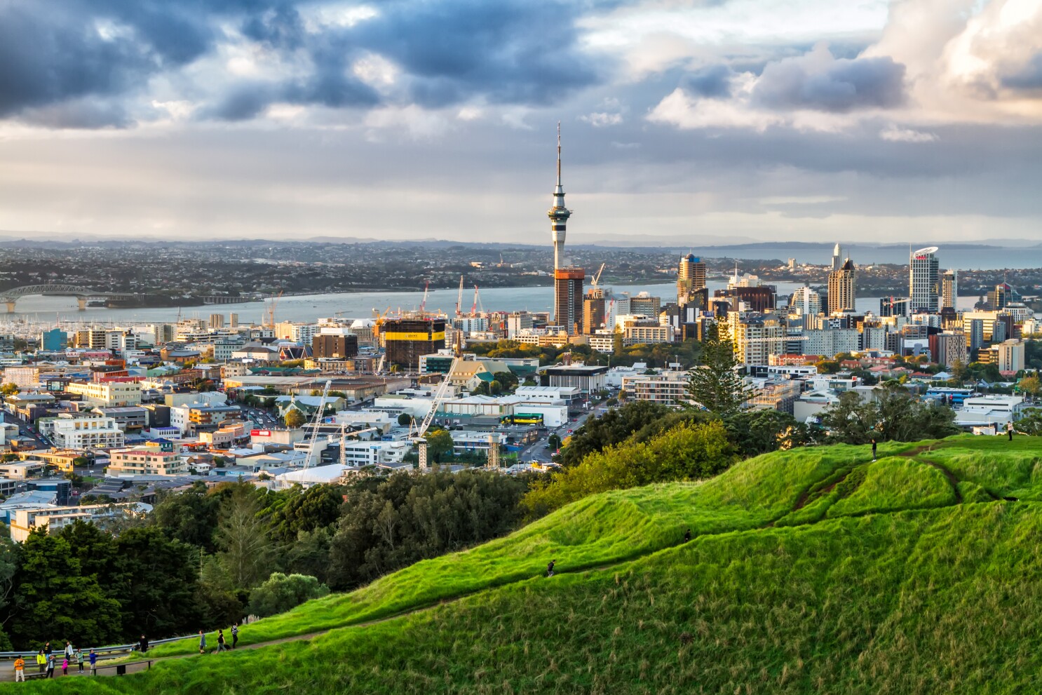 Auckland Conference
